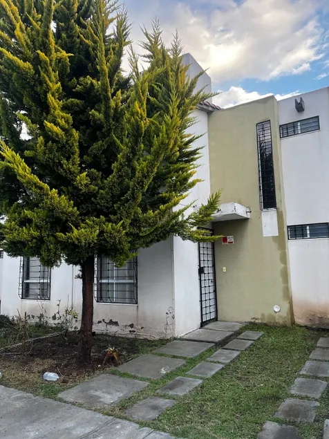 House in the city of Los Tuzos. - Image 1