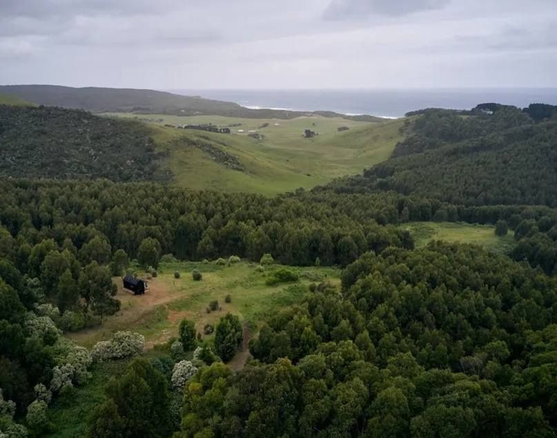 Secluded Ocean View Designer Off Grid Cabin - Image 1