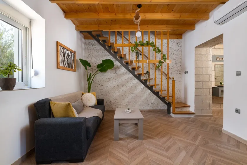 Kostas Nest - Image 1