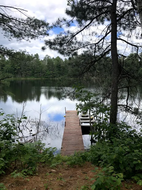 Tranquil Northwoods Cabin - Image 1