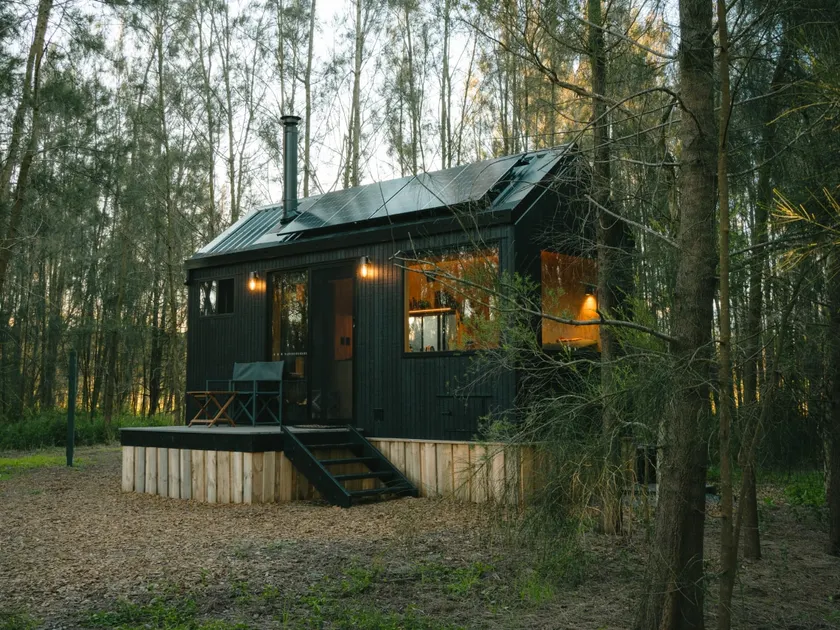 Designer Off-Grid Cabin Hidden in the Vines - Image 1