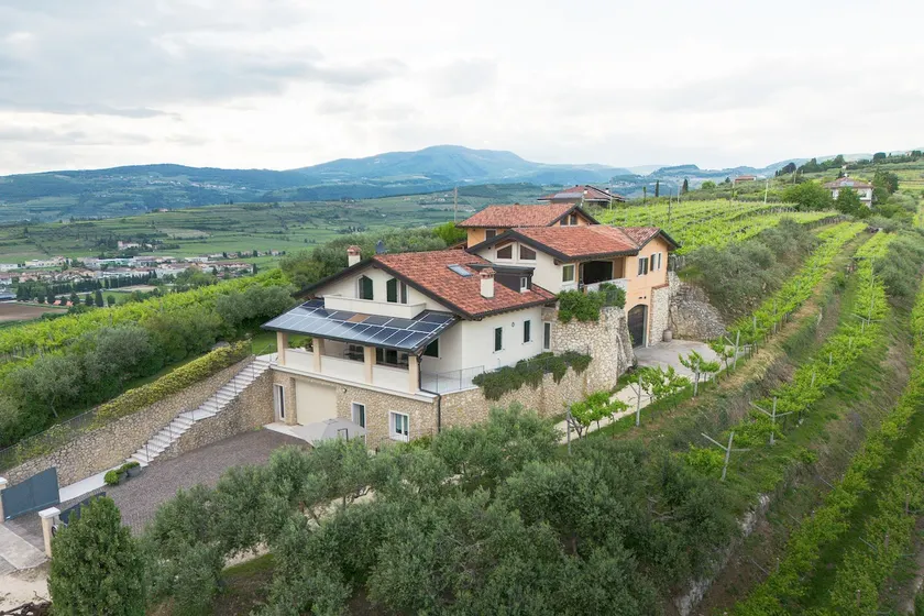 Zardo Winery - Image 1