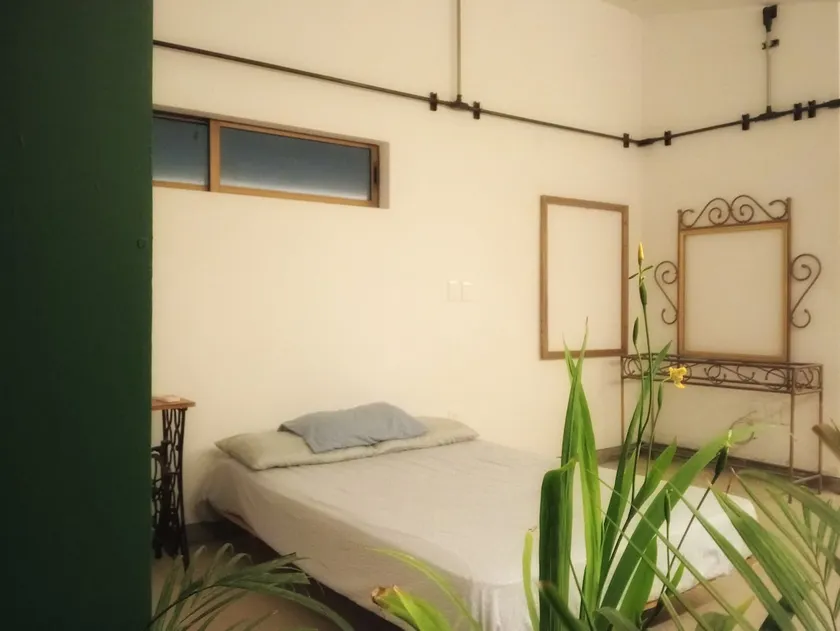 A small oasis - Image 1