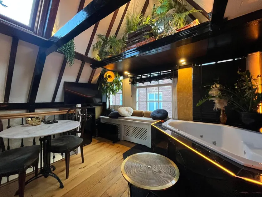 Unique center Jacuzzi Loft - Image 1
