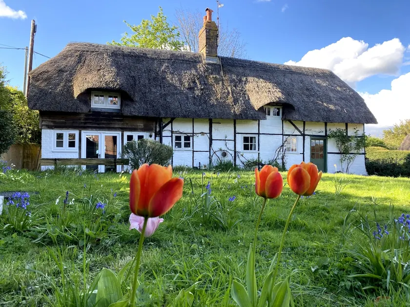The White Cottage, Tichborne - Image 1