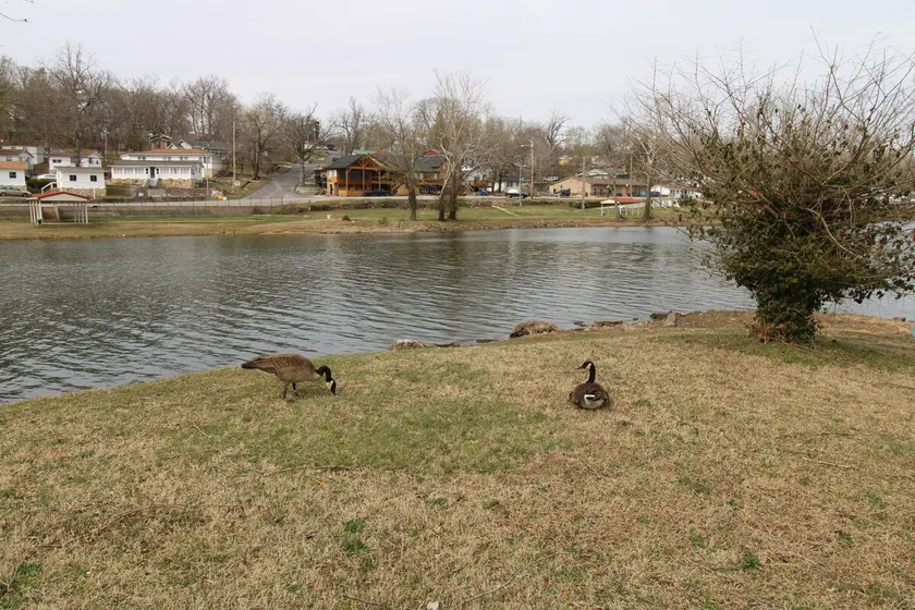 Idlewild at Duck Harbor Resort - Image 1