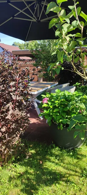 Idyllic apartment near the lake for 4 guests - Image 1