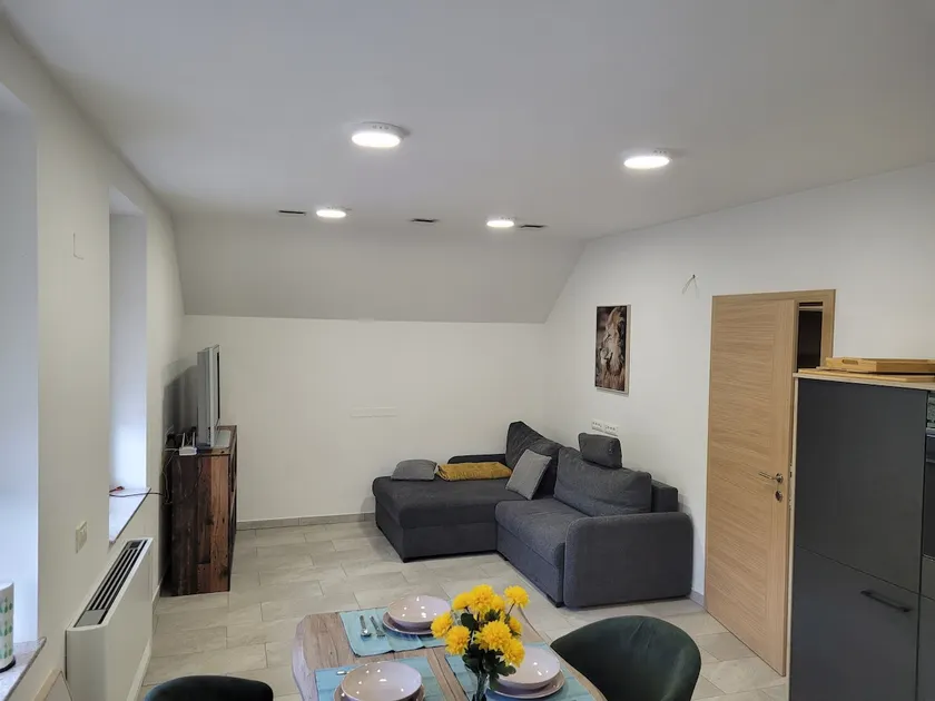 Kranj Leisure Apartment - Image 1