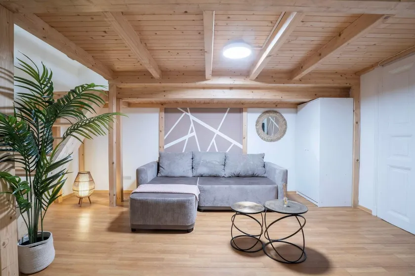 CABAnA: Donau & Klima I Clean Suite I Wi-Fi - Image 1