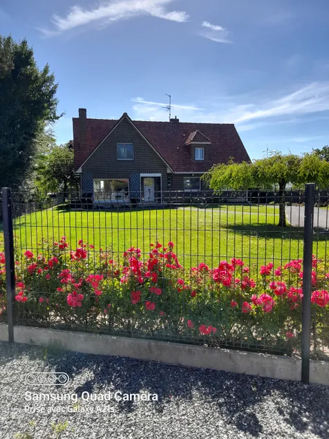 Welcome to Bernard and Nelly's - Image 1