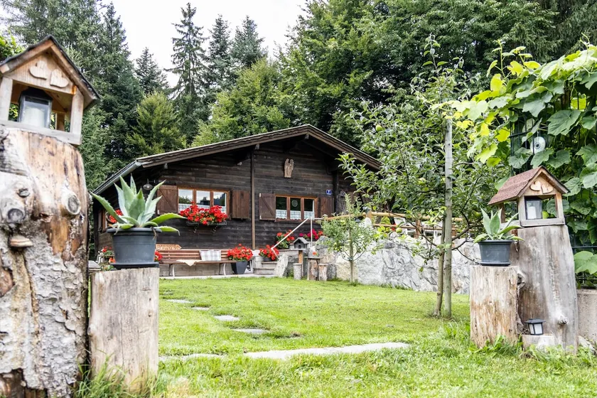 Puutz vacation hut - Image 1