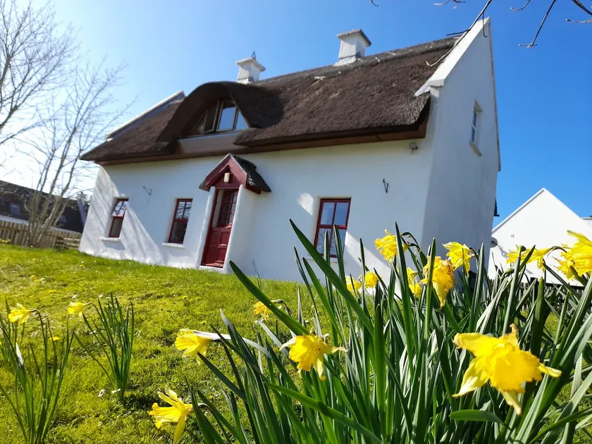 Donegal Thatched Cottage - Image 1