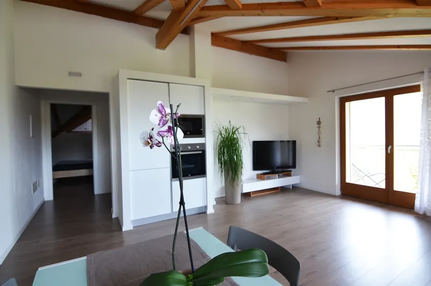 Holiday home Danima - Image 1