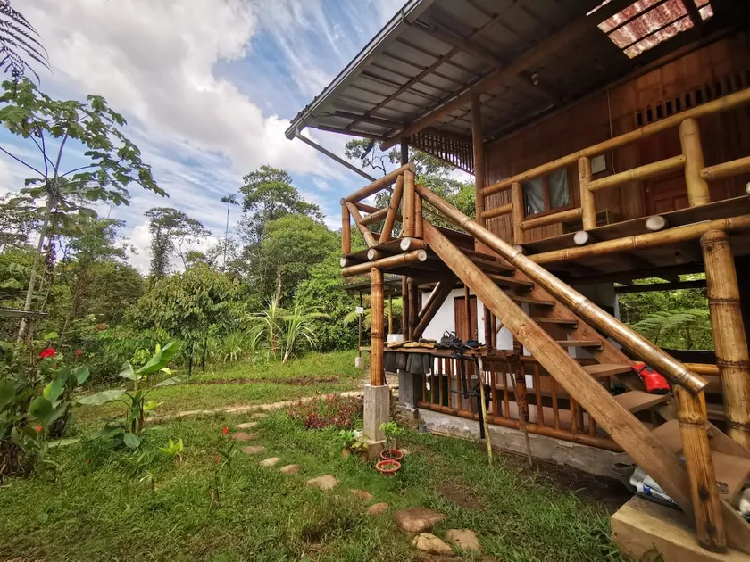 Muyu Cabin - Bird Shelter - Image 1