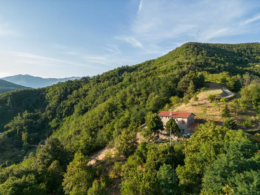 The Castellare in Mammiano - Image 1