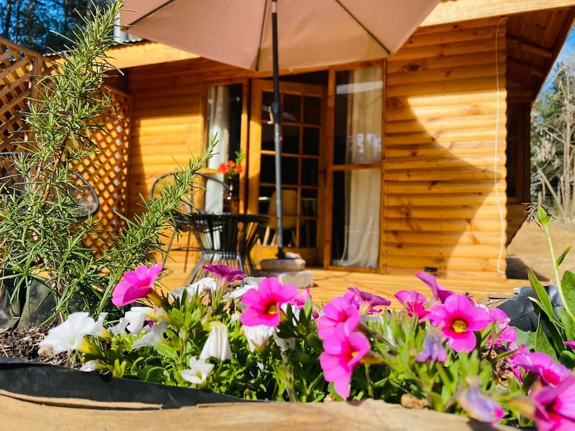 Nice country cabin equipped for 2 people (Quillay) - Image 1