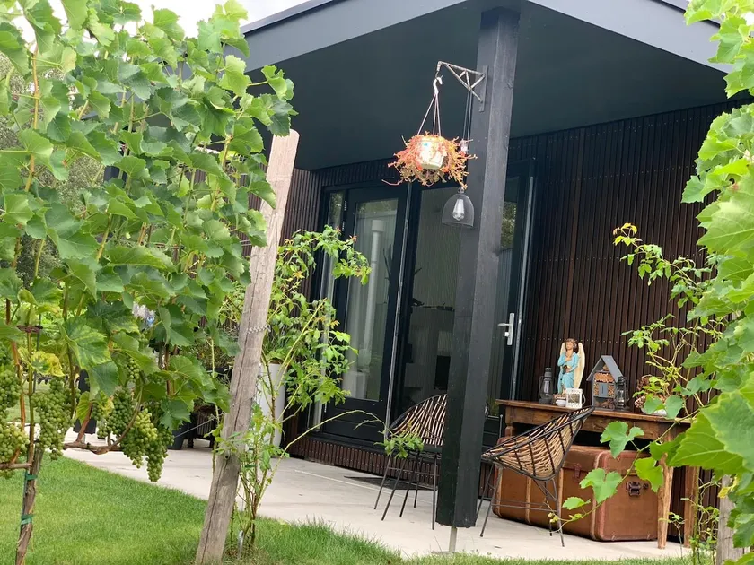 LCBT- Unique stay in our vineyard (A'dam area) - Image 1