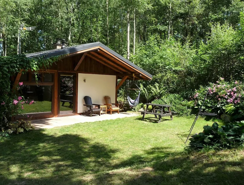 Eco Corner - In the Birch Forest (Karwia) - Image 1