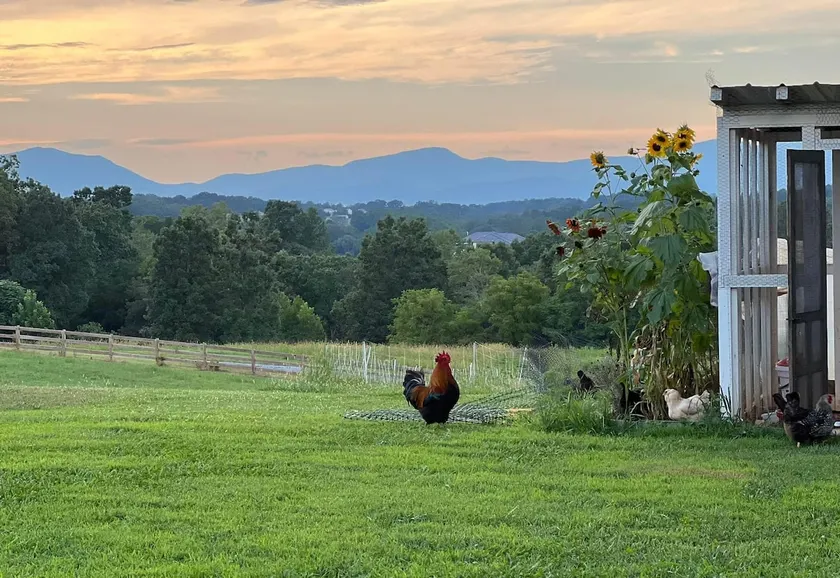 Fox Hill Farm -Blue Ridge Loft - Image 1