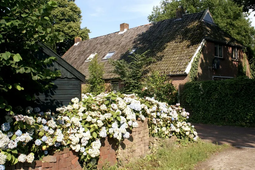 Onder De Eiken by Interhome - Image 1