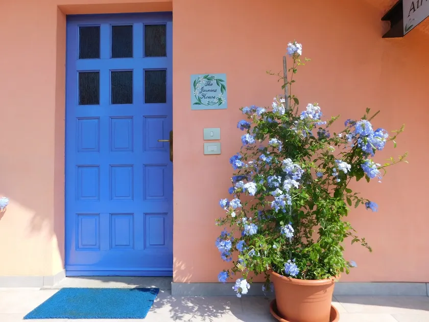 The Jasmine House a country house near Major Lake - Image 1