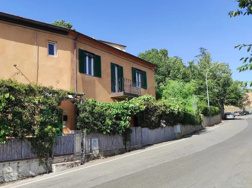 Montiano's garden - Image 1