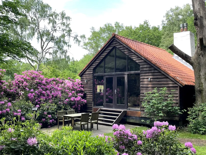 Treehouse Studio: stylish luxury with private forest - Image 1