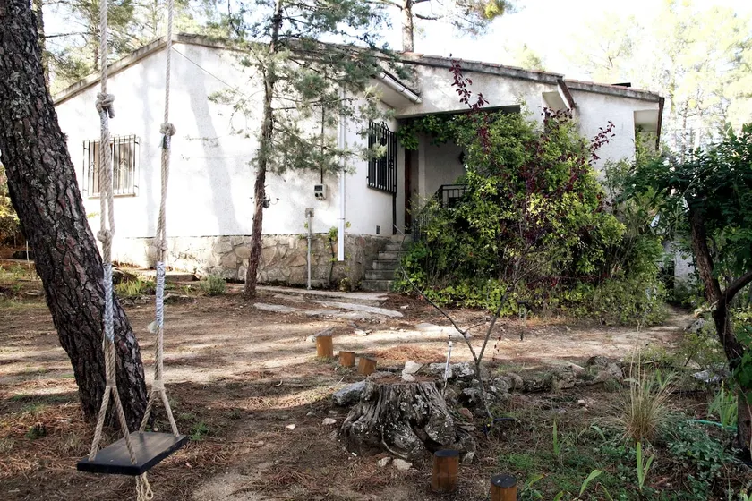 The house in the woods - Image 1