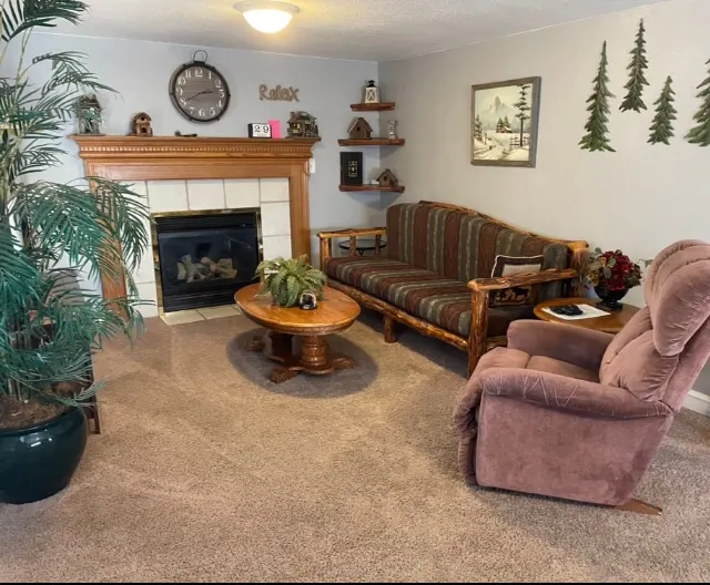 Cozy Cabin In Twin Falls - Image 1