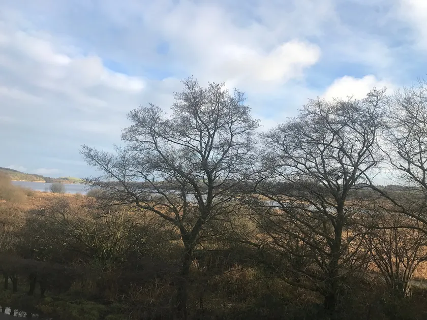 Small but lovely flat with beautiful Loch view - Image 1