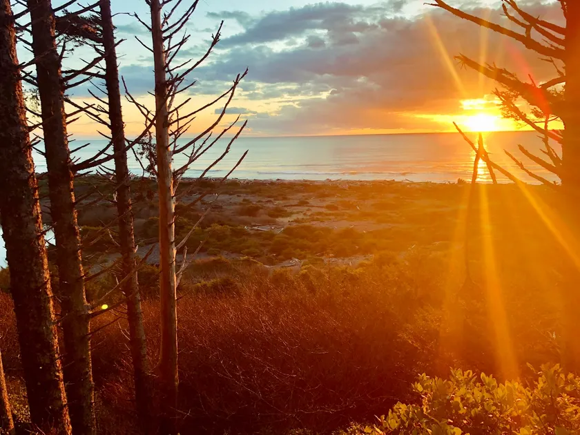 Oceanfront Olympic Cabin— Secluded & Vast (2BR) - Image 1