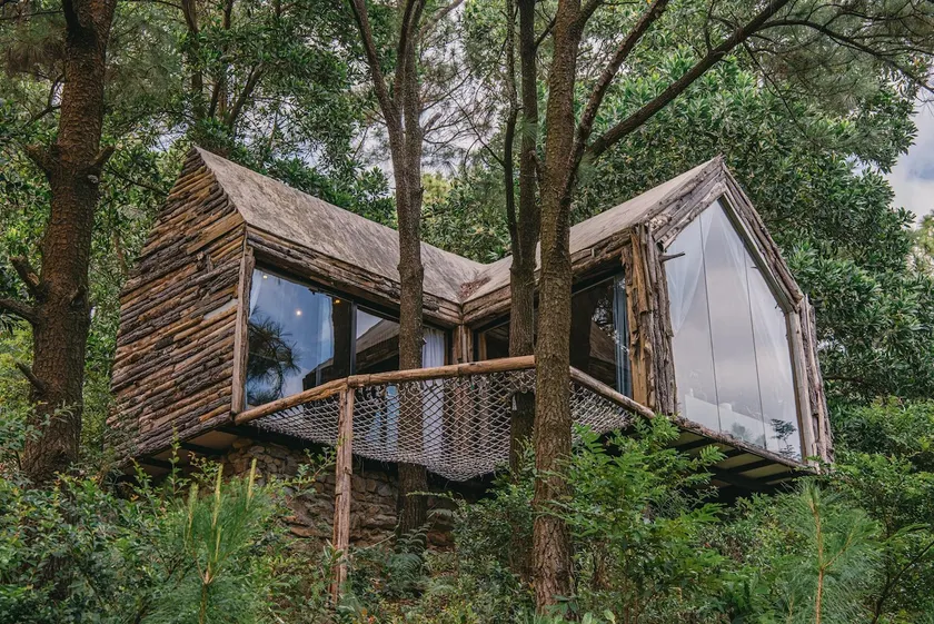 The Big Pinecone House - Image 1