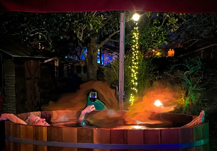 Carbondale Pool House - Sauna, Hot Tub, Dogs OK - Image 1