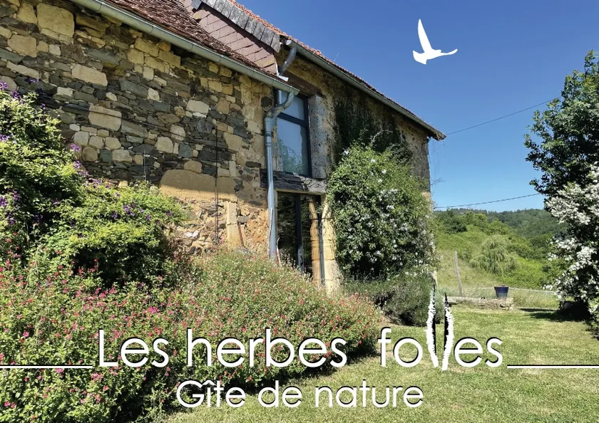 Les Herbes Folles – Nature Lodge. - Image 1