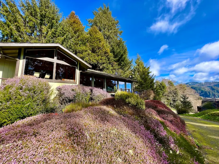 The Requa House - Image 1