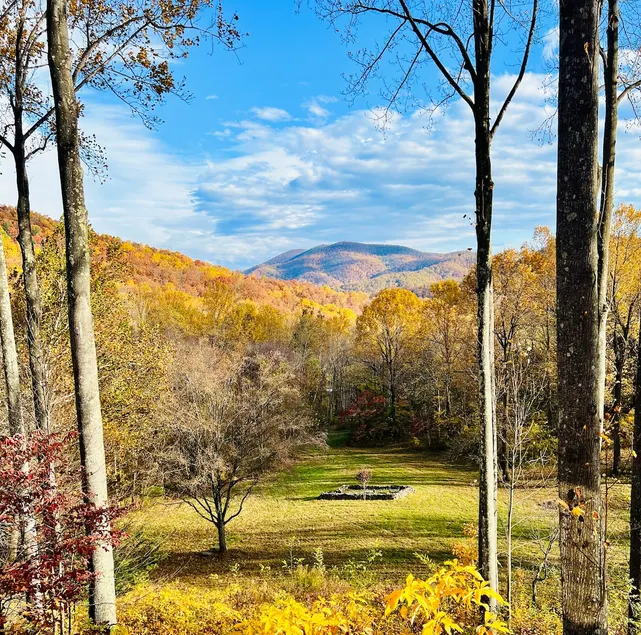 ❤️Old Rag Mountain Views on 70 Acres near SNP! - Image 1