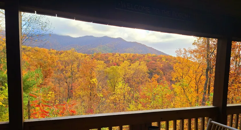 Tyro Mountain View Cabin - Image 1