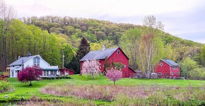 Farmhouse Oasis in the Hudson Valley, Stream Views - Image 1