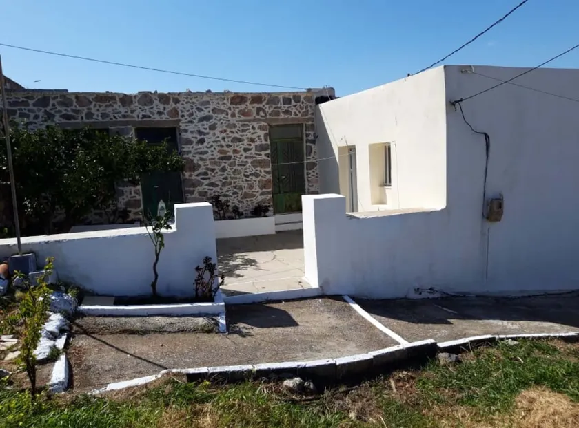 Orange garden - Image 1