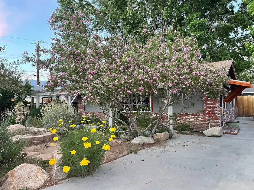Home Street Studios - House in Bishop, CA - Image 1