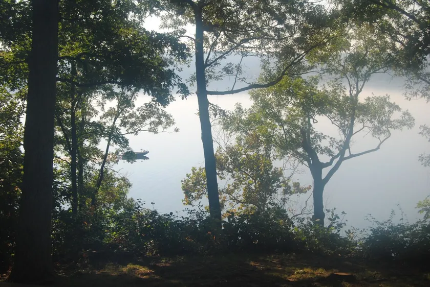 Lake House on Beautiful Kentucky Lake! - Image 1