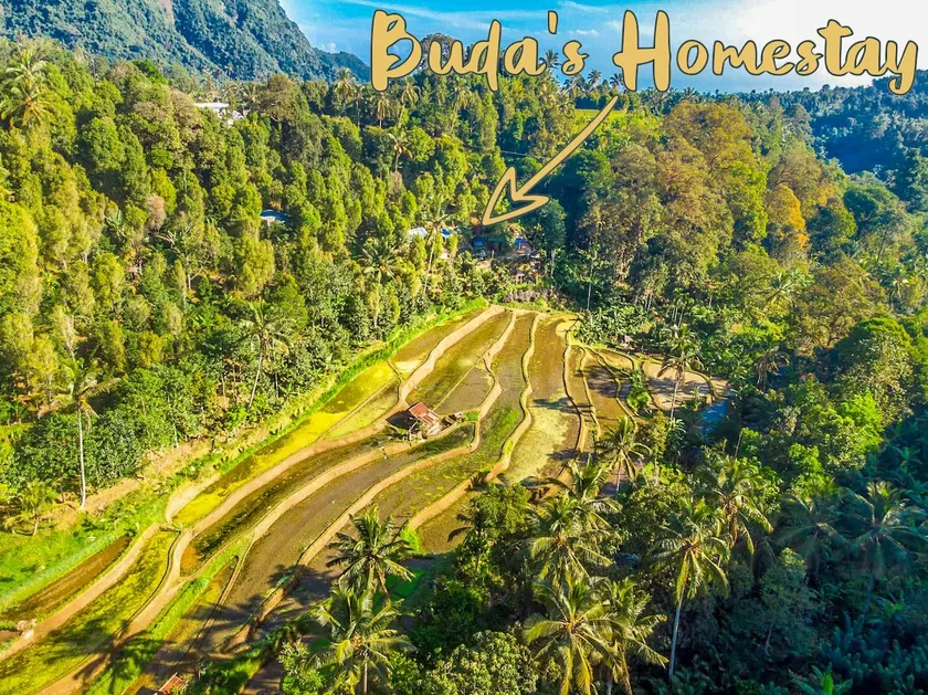 Buda's Homestay Lemukih - Mountain View Bungalow - Image 1