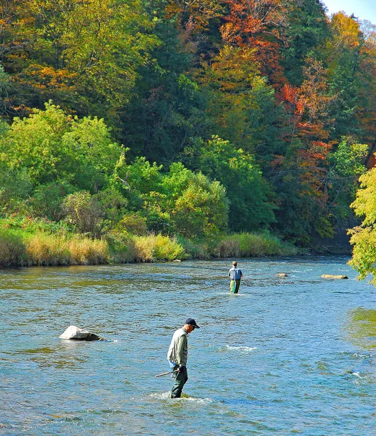 WATER FRONT- Cozy Country Home SPA, Pristine Lawns, wildlife & trails to Explore - Image 1