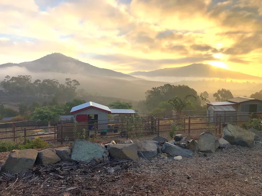 Farm Sanctuary Stay 20 min to the Beach. On 2.5 acres - Image 1