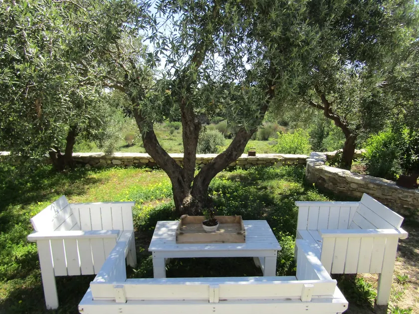 Asklipion Valley guest house - Image 1