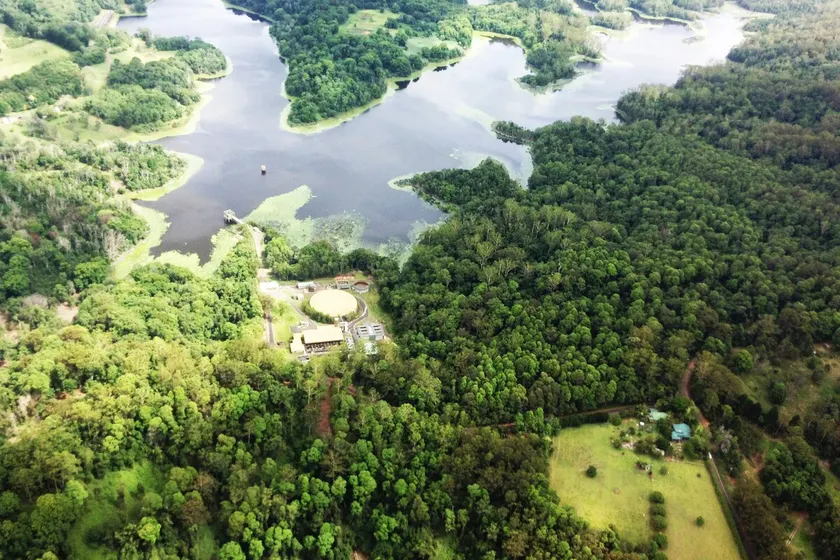 Unplug & Unwind at Molly’s Farm! - Image 1