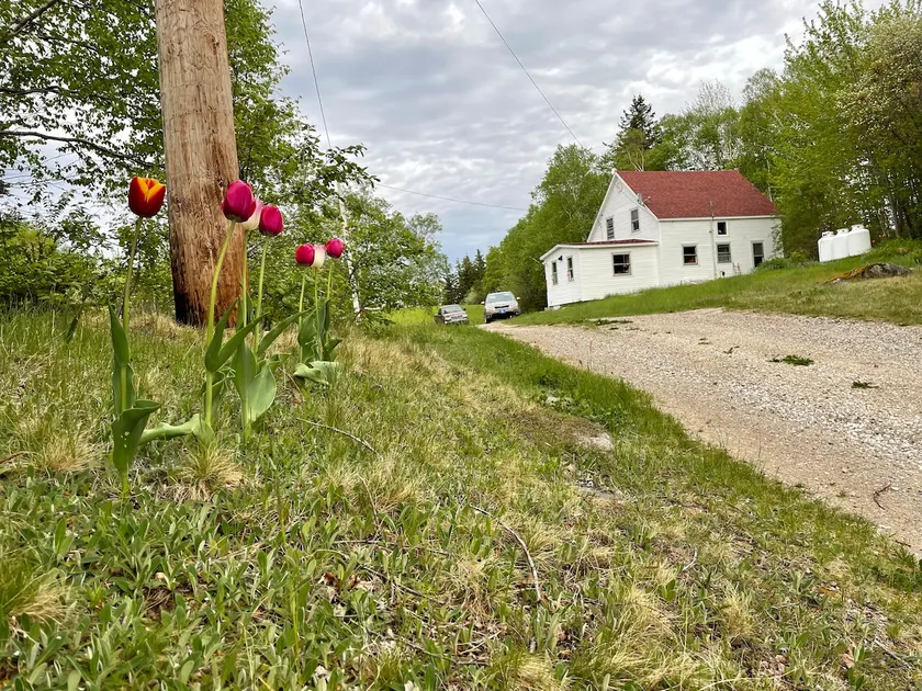 Cabot Trail Getaway in Breton Cove - Image 1