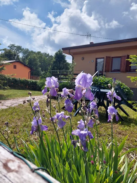 Das Chalet \"Grazia\" befindet sich auf dem Pizzorne-Plateau in einer ruhigen Gegend - Image 1