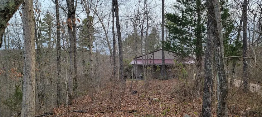 Collier Cabin in Pine Hollow ~ Eminence, MO - Image 1