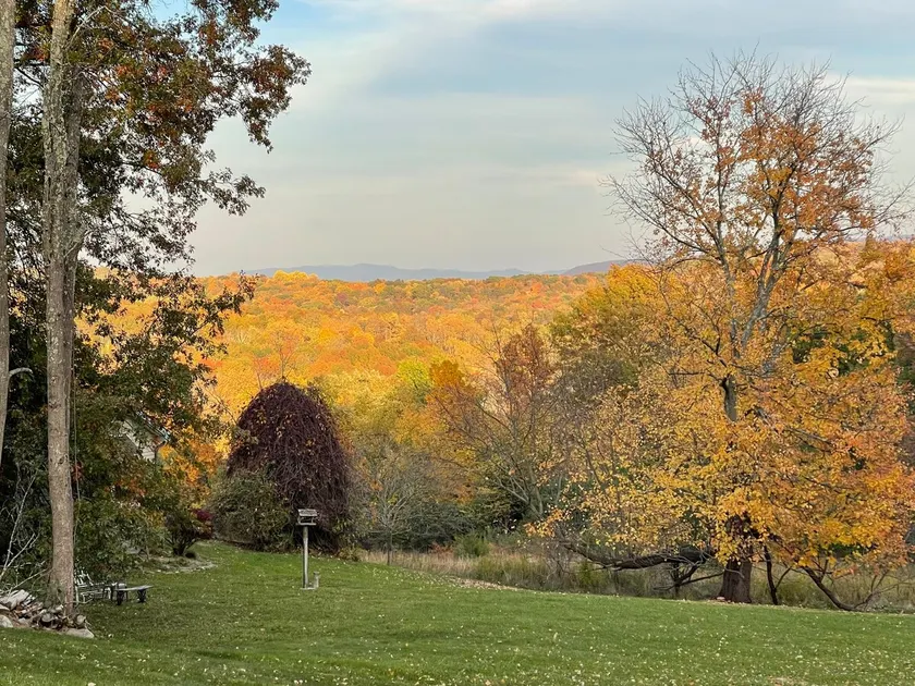 Spacious Home with Vista Views on 10 Acres! - Image 1